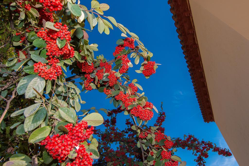 Villa Tu Casa en Barcelona Sant Cugat del Vallès Habitación foto